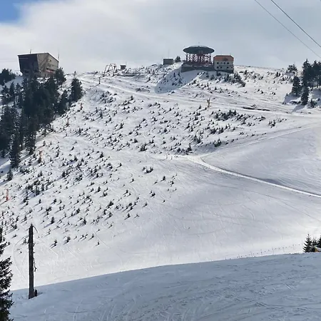 Casa Istorica Apartamento *